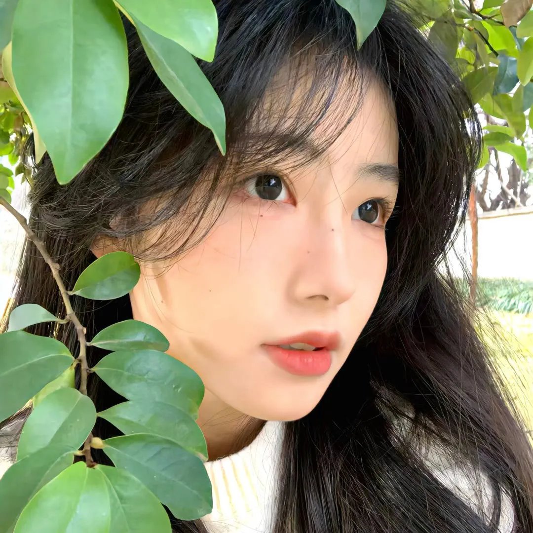迷离世界粤语