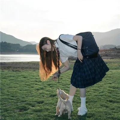双生赤狐